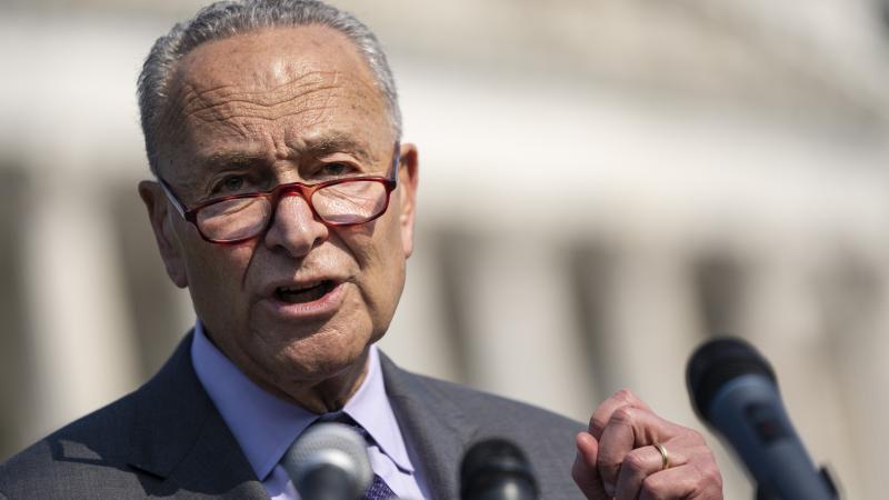 Senate Majority Leader Chuck Schumer (D-NY) speaks during a news conference about climate change outside the U.S. Capitol on July 28, 2021 in Washington, DC.