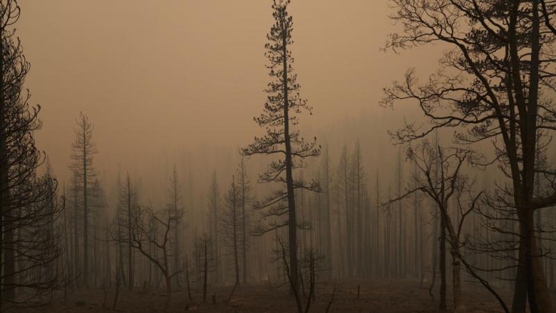 Caldor Fire in Northern California