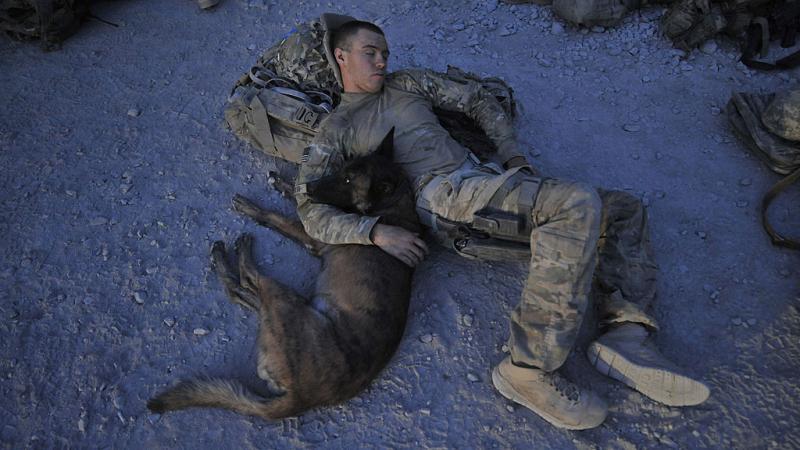 US Army Specialist Justin Coletti of US Forces Afghanistan K-9 combat tracker team resting with Dasty, a Belgian Malinois 