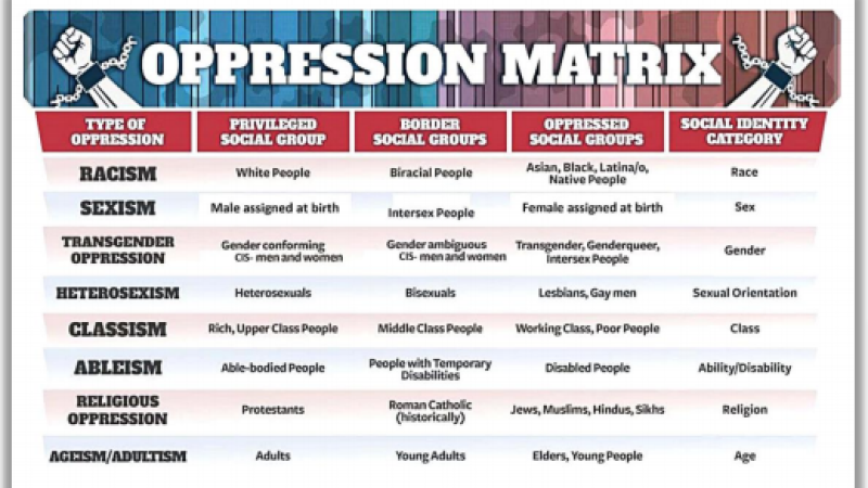 Oppression Matrix in Springfield Public Schools equity training