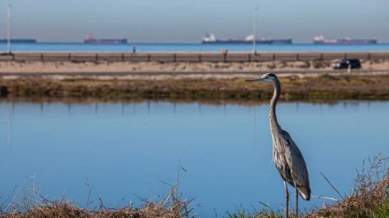 California oil spill 