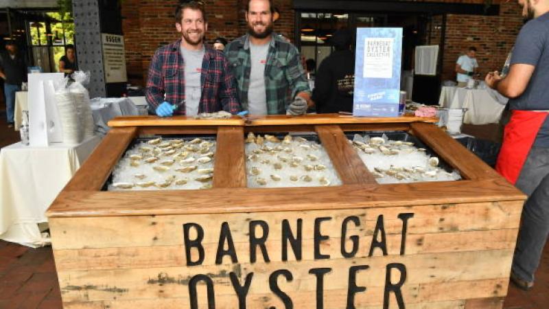 Oysters