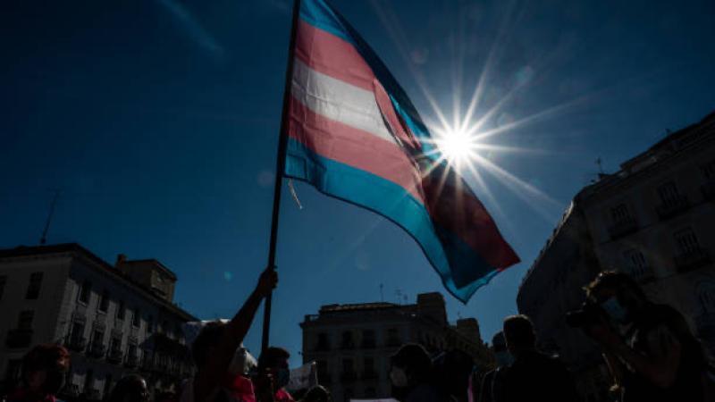 TransgenderFlag