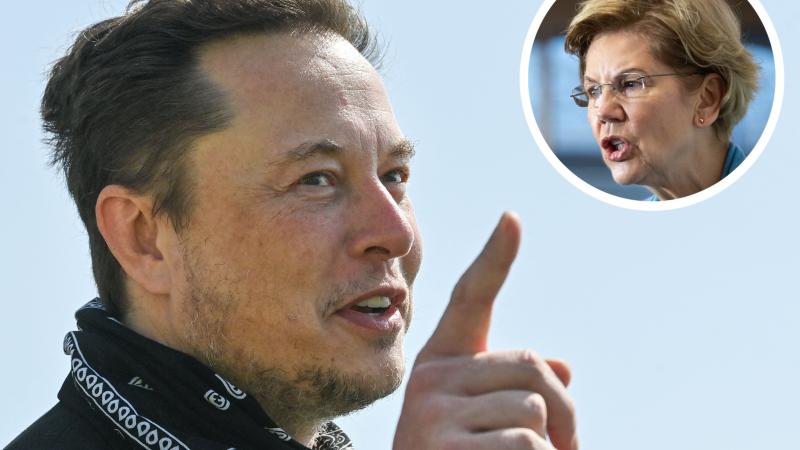 Elon Musk, Elizabeth Warren