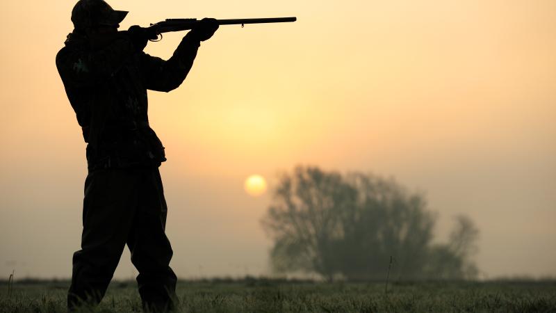 HunterGun