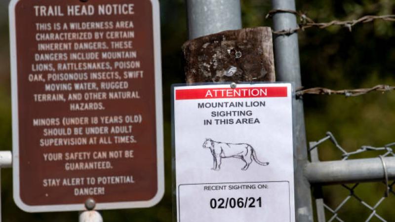 MountainLion