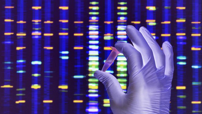 Readout of DNA on a computer screen