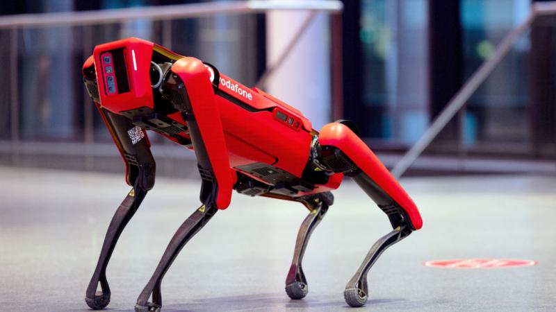A "robot dog" manufactured by Boston Dynamics