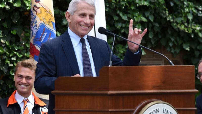 National Institute of Allergy and Infectious Diseases Director Anthony Fauci