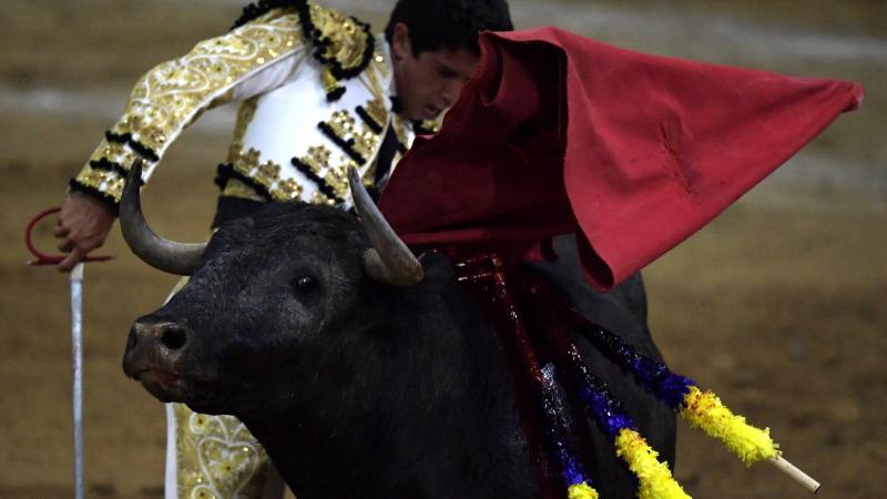 Bullfight, Feb. 26, 2022, Bogota, Colombia