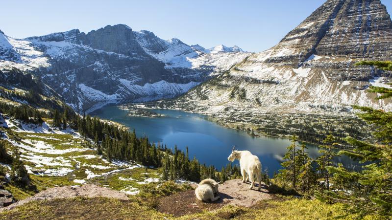 Glacier National Park
