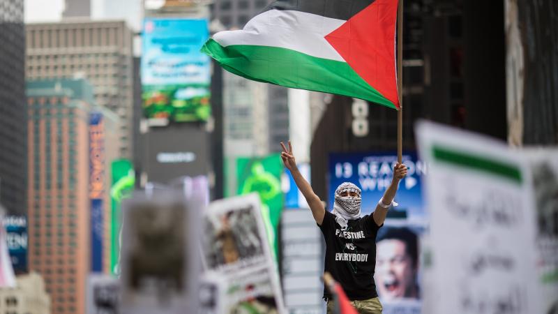 Palestine protest, Times Square, New York City, May 18, 2018