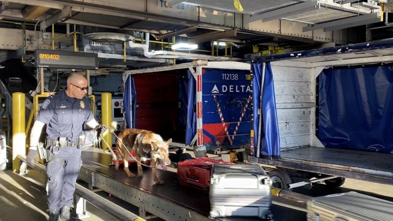 Customs and Border Protection, JFK airport, New York, Jan. 11, 2022
