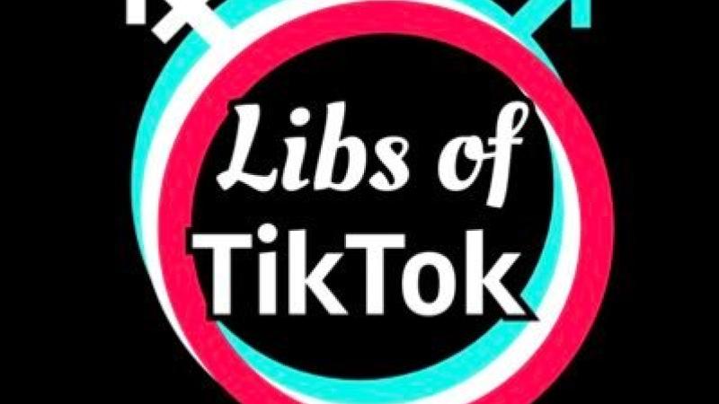 The Libs of TikTok logo