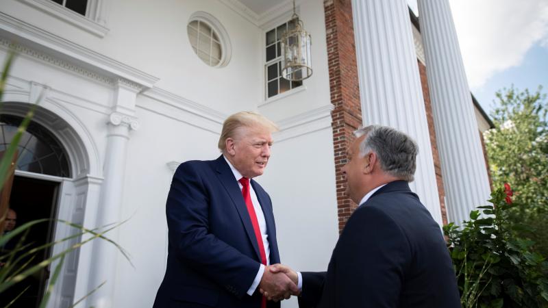 Trump meets with Viktor Orban