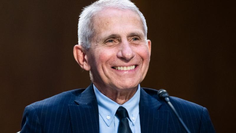 Anthony Fauci at the U.S. Senate, Sept. 2022