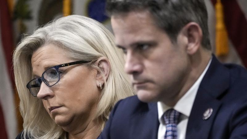 Liz Cheney, Adam Kinzinger, Washington, D.C., June 16, 2022