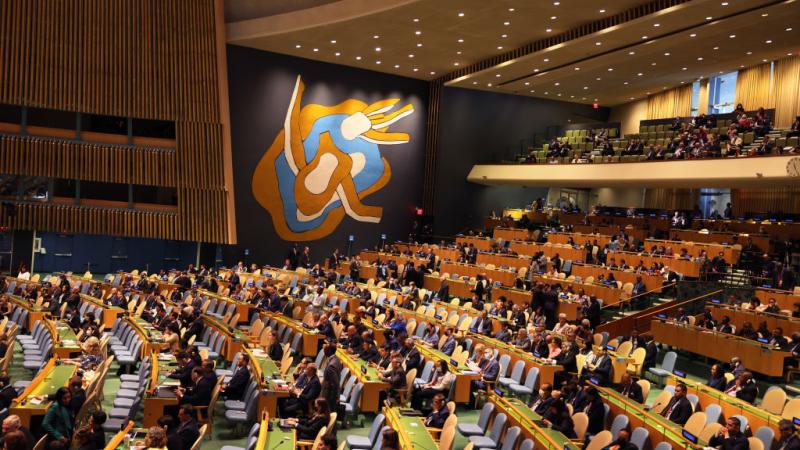 UN General Assembly