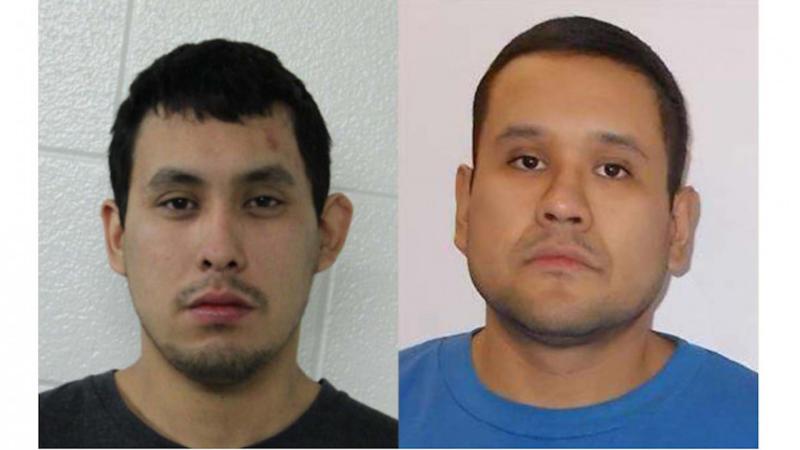 Damien Sanderson, Miles Sanderson