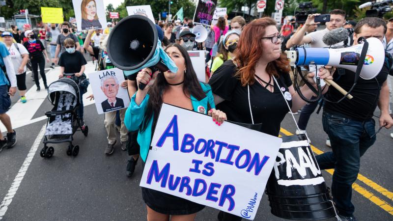 Pro-life activists, Washington, D.C., June 13, 2022