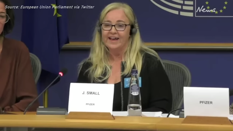 Pfizer executive Janine Small