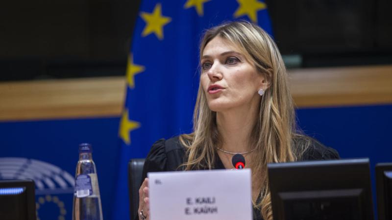 Vice-President of the European Parliament Eva Kaili 