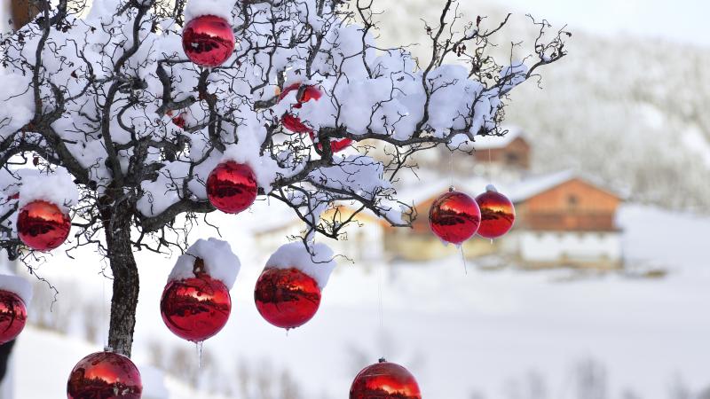 Ornaments on snowy tree