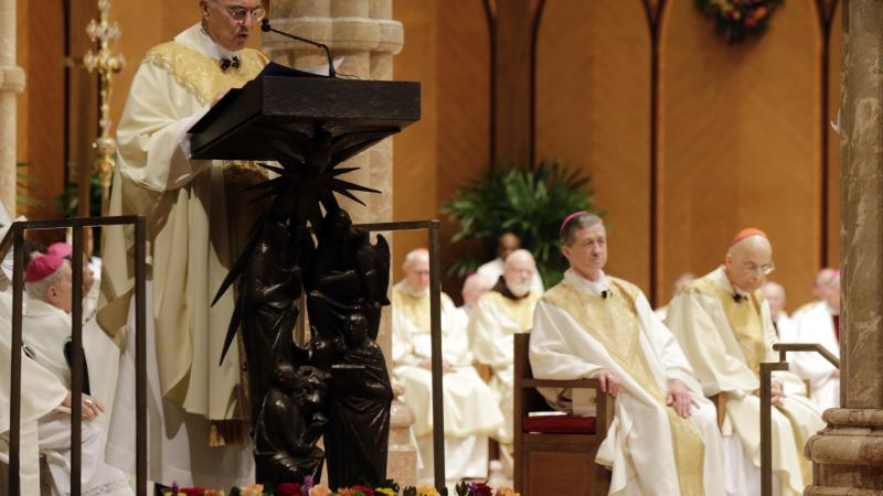 Archbishop Carlo Maria Viganò, Chicago, Nov. 18, 2014