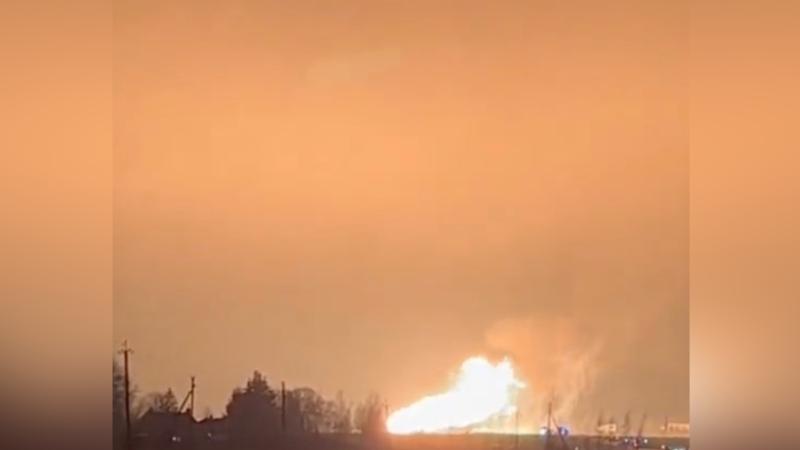 Footage from the gas fire