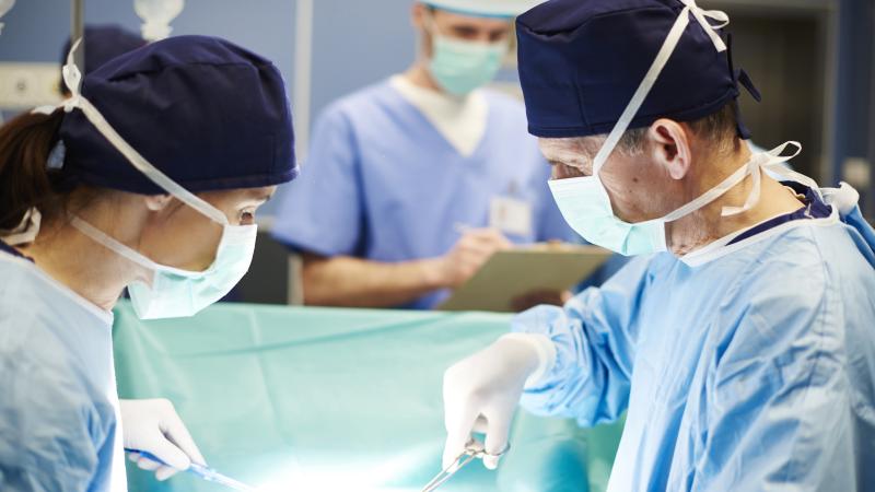 Surgeon, organ transplant, stock image