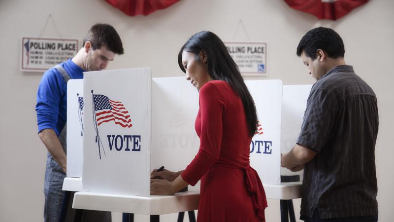 Asian voters