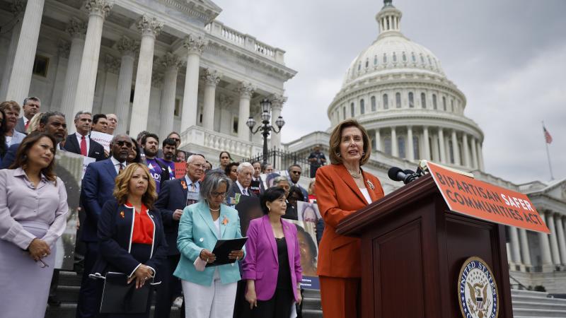 House Democrats, Washington, D.C., June 24, 2022