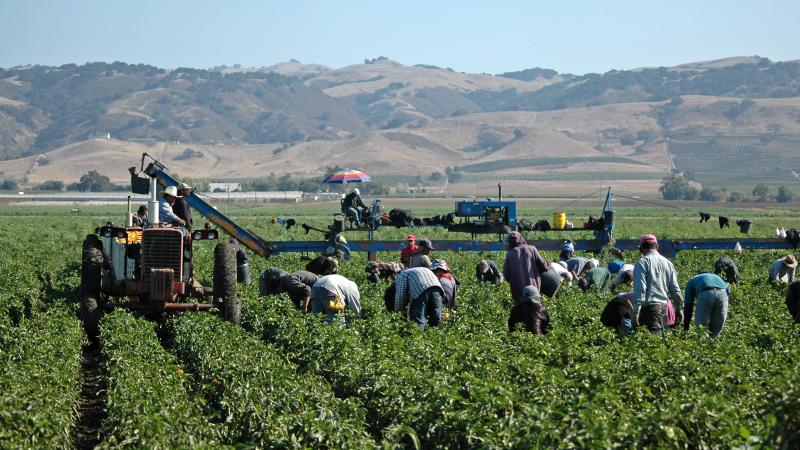 Migrant workers