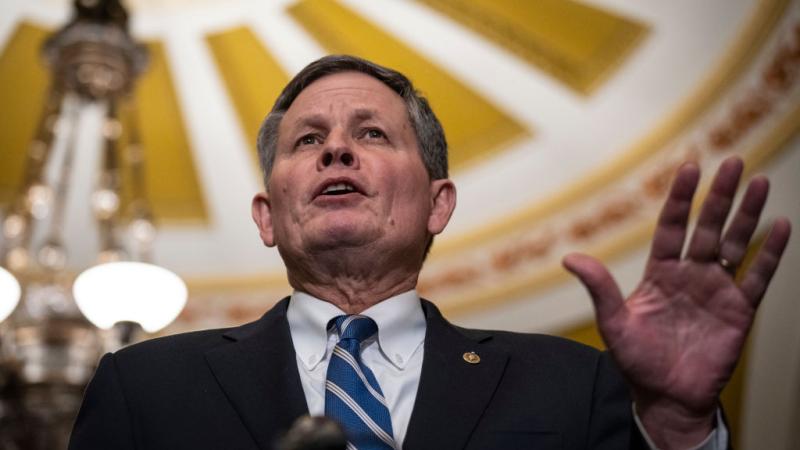 Steve Daines