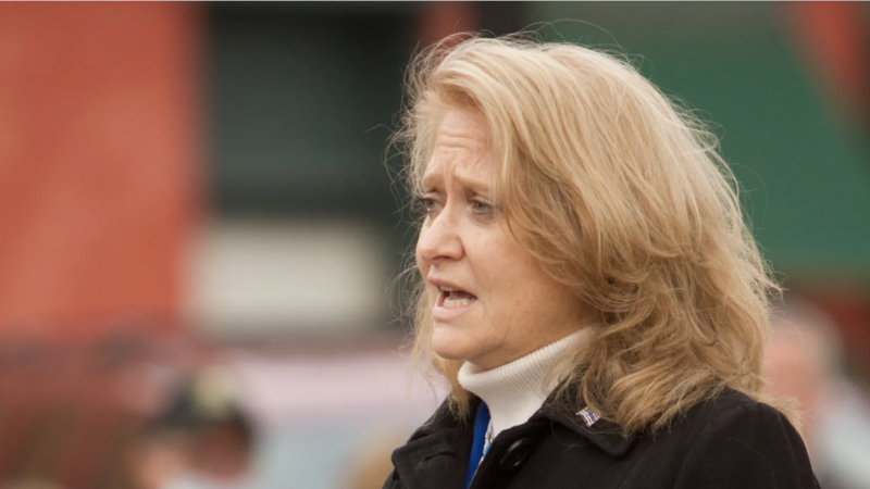 Michigan State Senator Lana Theis