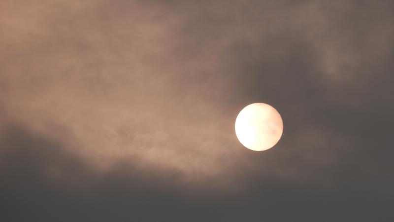 Sun in Smoke