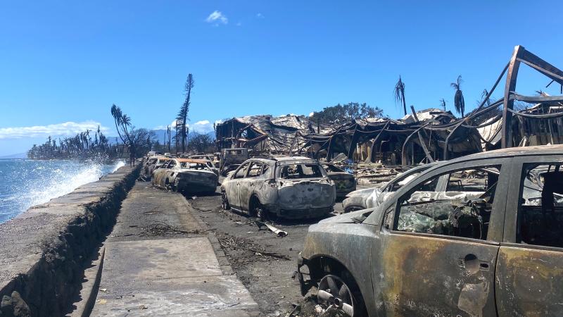 Wildfire, burnt cars, Lahaina, Hawaii, Aug. 11, 2023