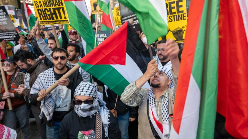 Palestinian protesters