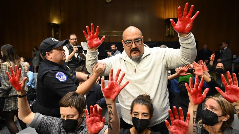 Pro-Palestine demonstrator, Washington, D.C., Oct. 31, 2023