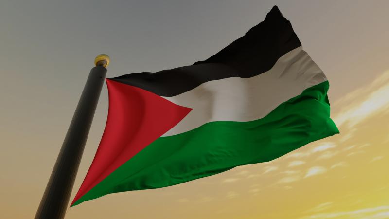 Palestine flag