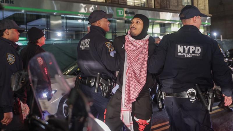 Pro-Palestine demonstrator arrested, New York City, Nov. 10, 2023