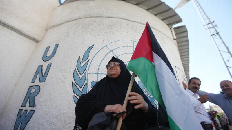 Palestine protest, UNRWA, Nov. 19, 2014, Gaza