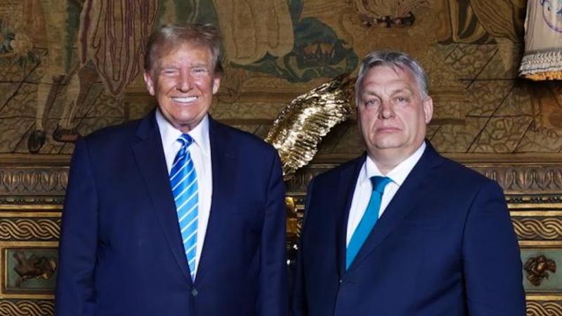 Donald Trump, Viktor Orban