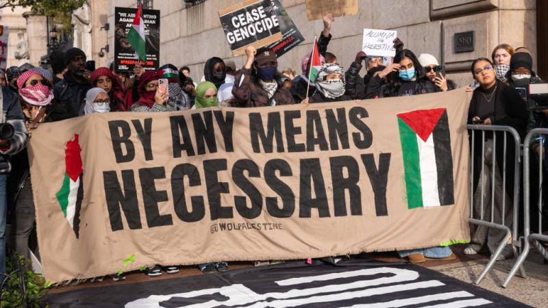 Pro-Gaza, anti-Israel campus protest, Nov. 15, 2023, New York City