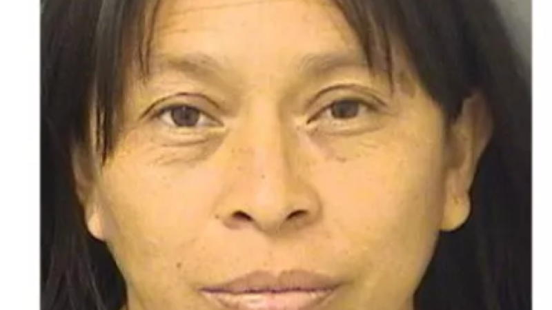 illegal immigrant mother arrested for attempting to pay a hitman to kill witnesses