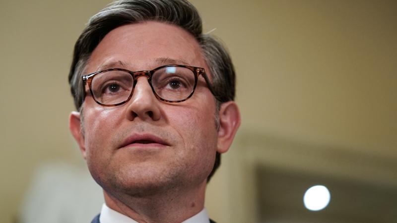 House Speaker Mike Johnson