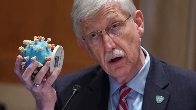 National Institutes of Health Director Francis Collins