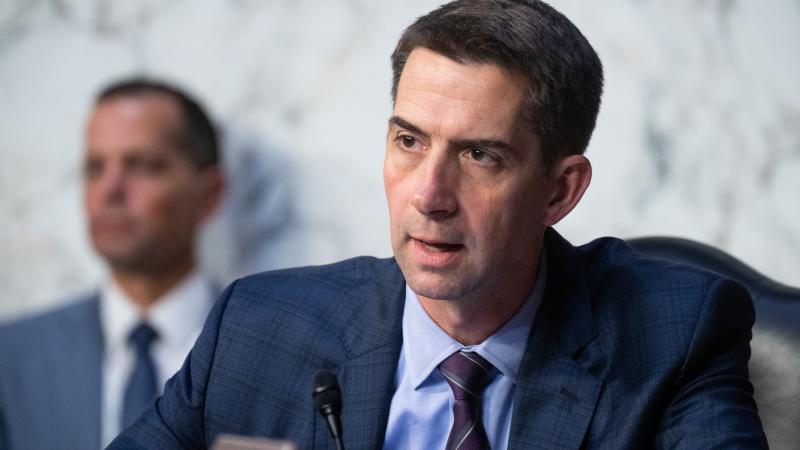Tom Cotton, July 12, 2023, Washington, D.C.