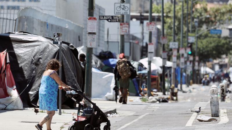 Los Angeles homeless camp