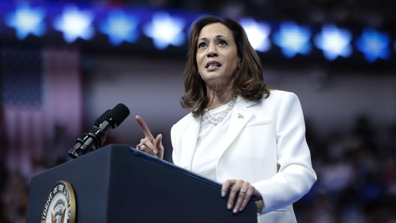 Democratic presidential nominee, U.S. Vice President Kamala Harris speaks at a campaign rally at the Enmarket Arena August 29, 2024 in Savannah, Georgia.